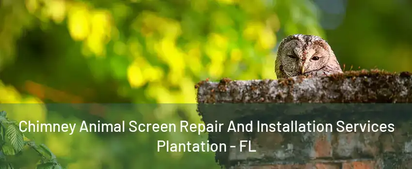 Chimney Animal Screen Repair And Installation Services Plantation - FL