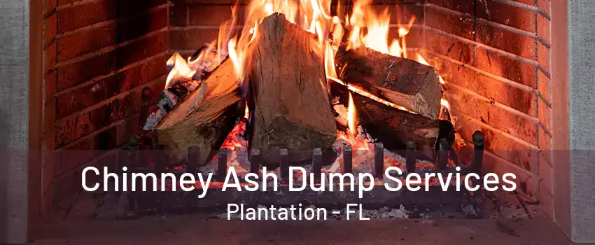 Chimney Ash Dump Services Plantation - FL