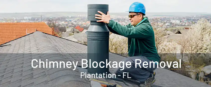 Chimney Blockage Removal Plantation - FL