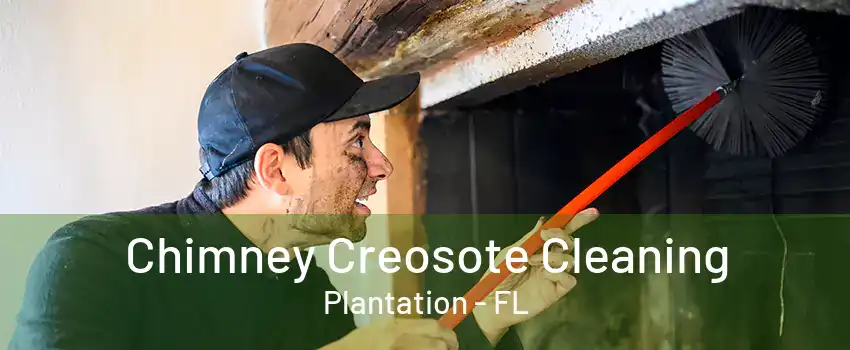 Chimney Creosote Cleaning Plantation - FL