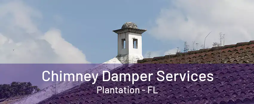 Chimney Damper Services Plantation - FL