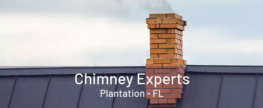 Chimney Experts Plantation - FL