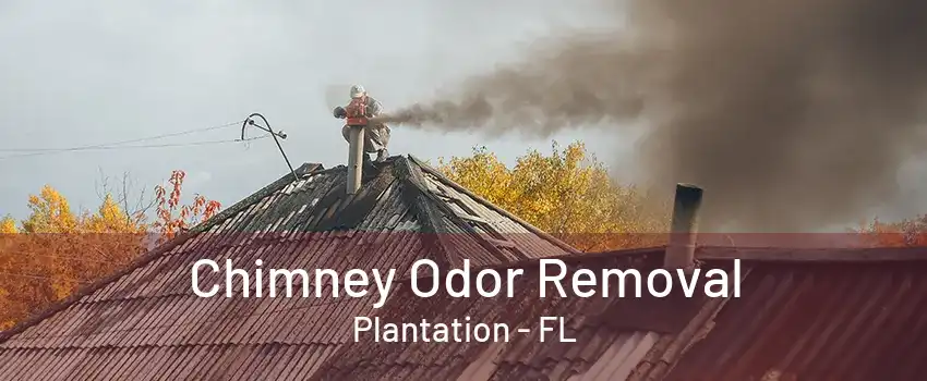 Chimney Odor Removal Plantation - FL