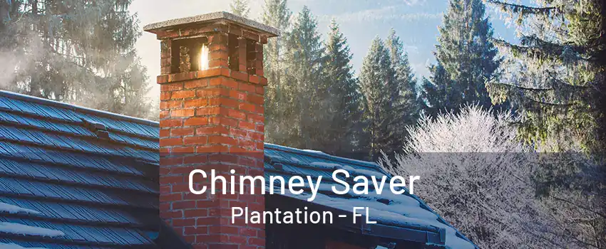 Chimney Saver Plantation - FL