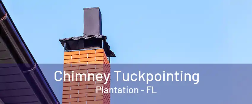 Chimney Tuckpointing Plantation - FL