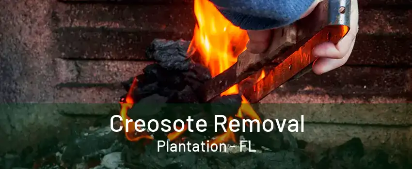 Creosote Removal Plantation - FL