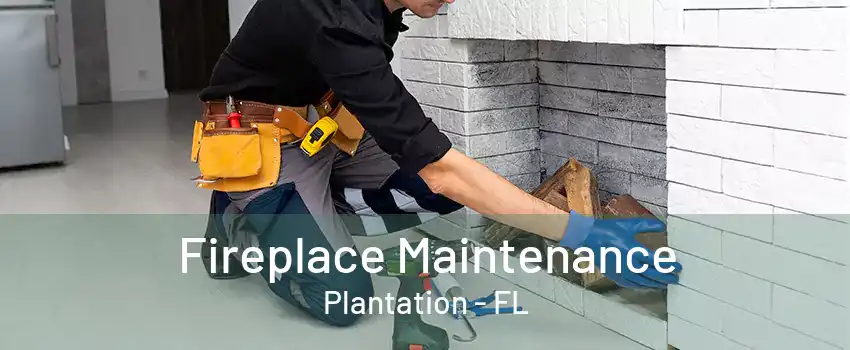 Fireplace Maintenance Plantation - FL