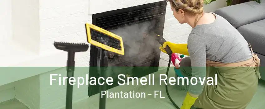 Fireplace Smell Removal Plantation - FL