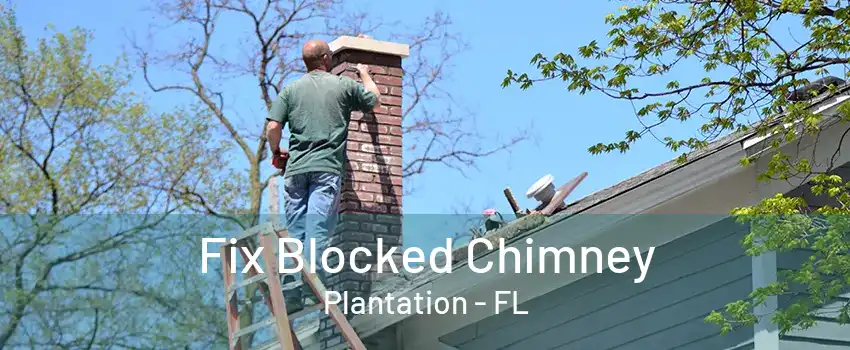 Fix Blocked Chimney Plantation - FL