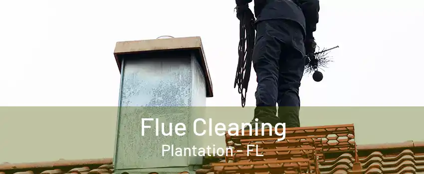 Flue Cleaning Plantation - FL