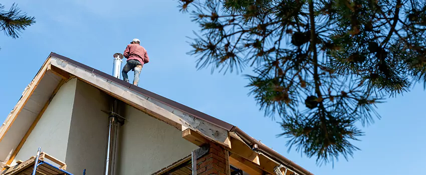 Birds Removal Contractors from Chimney in Plantation, FL