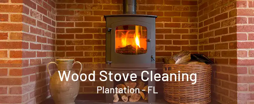 Wood Stove Cleaning Plantation - FL